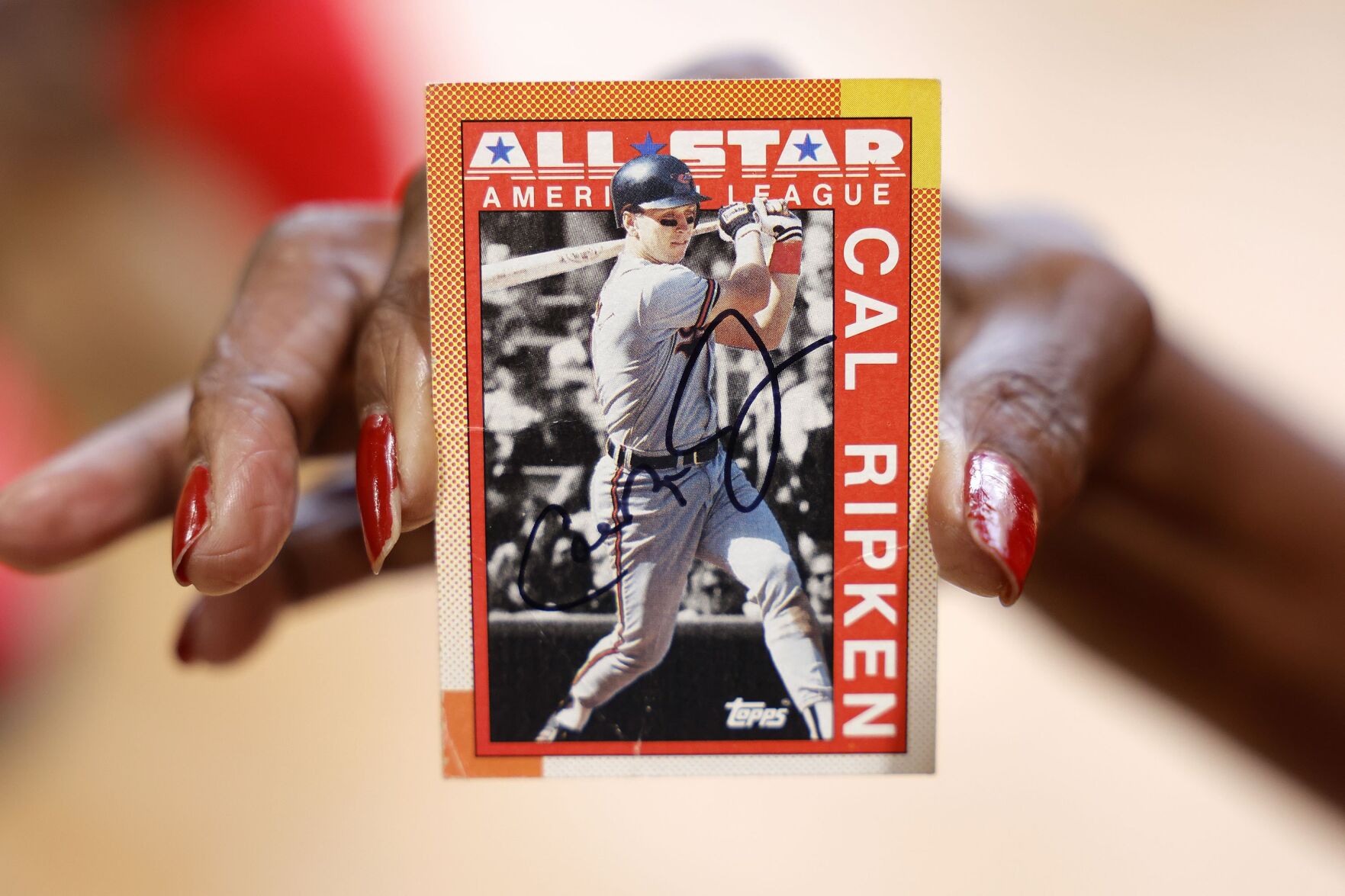 Ripken